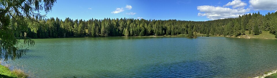 Tretsee