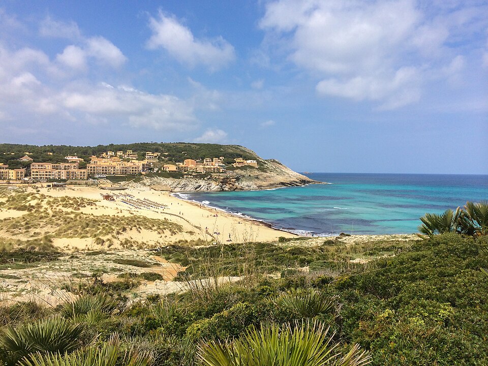 Mediterranean