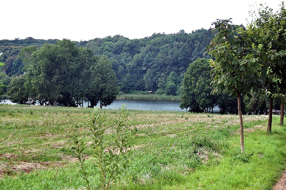Zieskensee