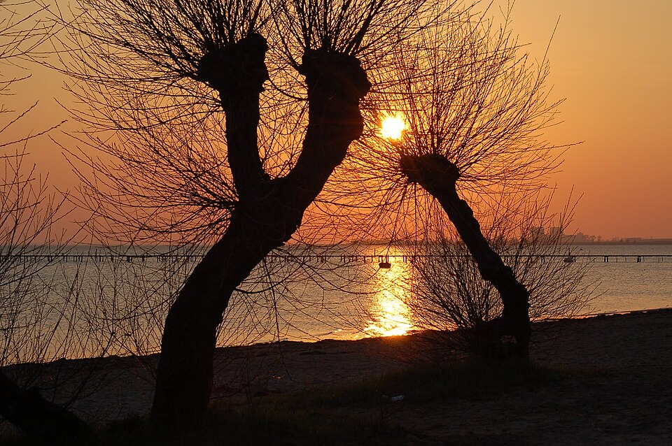 Öresund