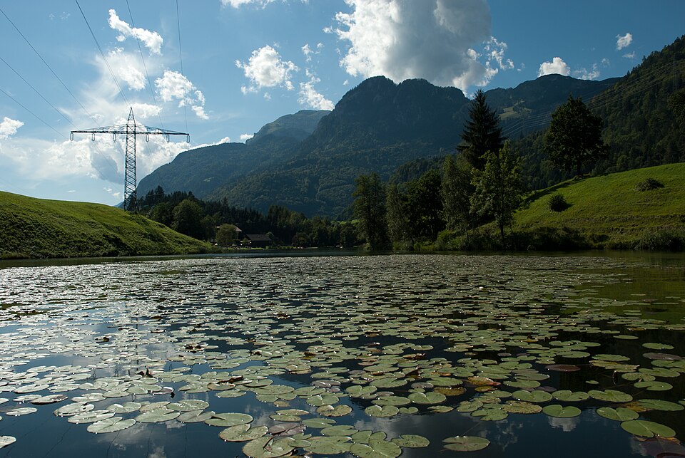 Badesee Krummsee, Süd