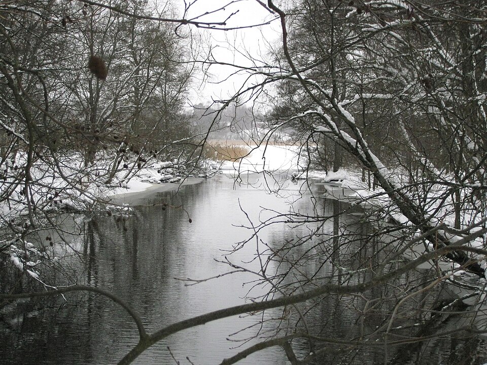 Drevviken