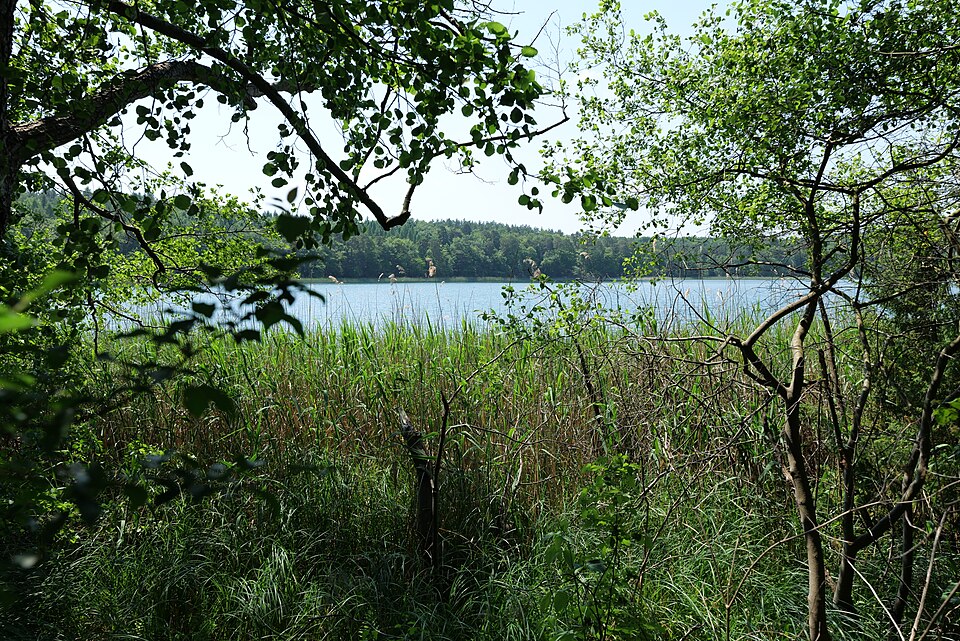Ellbogensee
