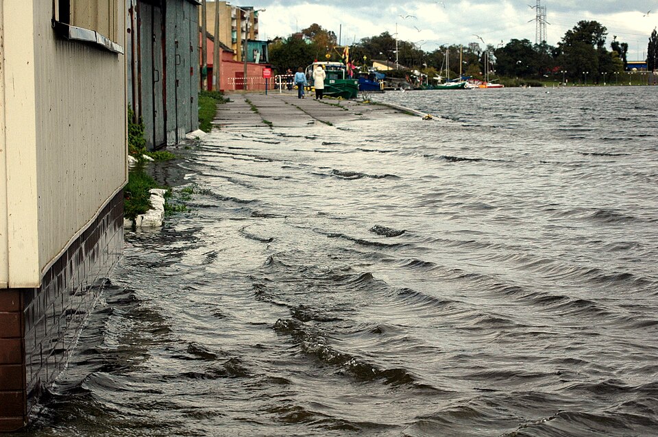 Dziwna