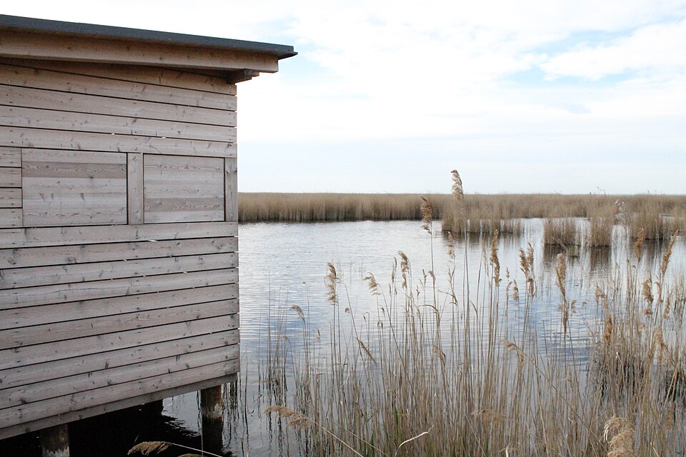 Neusiedlersee, Illmitz