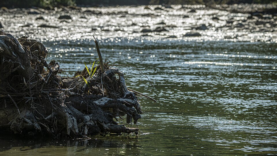 Sf Nooksack River at Saxon Bridge, Washington