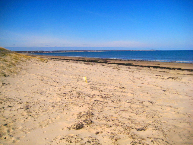Atlantic