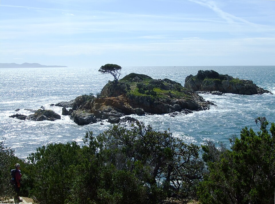 Méditerranée