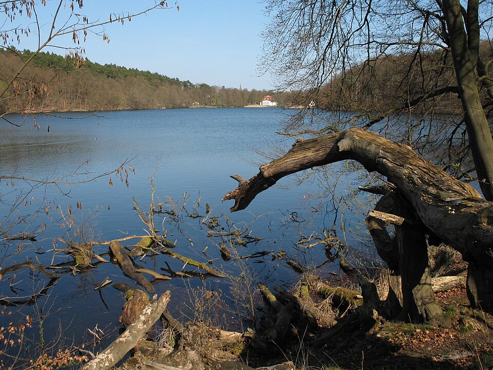 Obersee