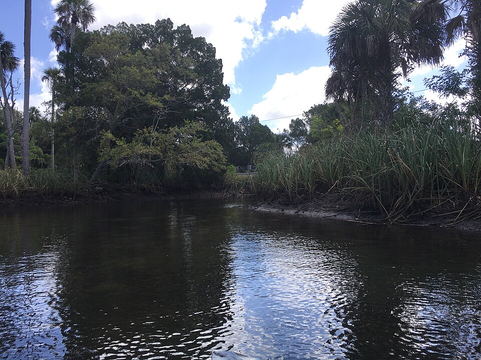 Crystal River near Crystal River, Florida