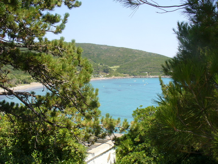Méditerranée