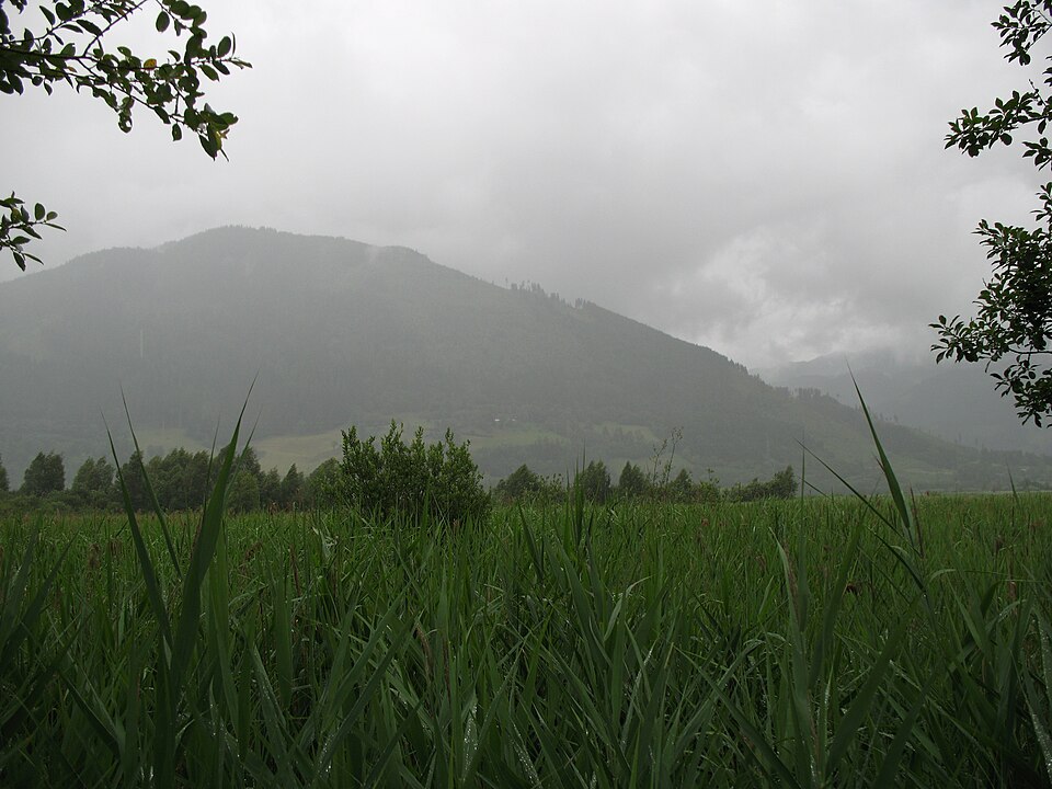 Zeller See, Erlberg