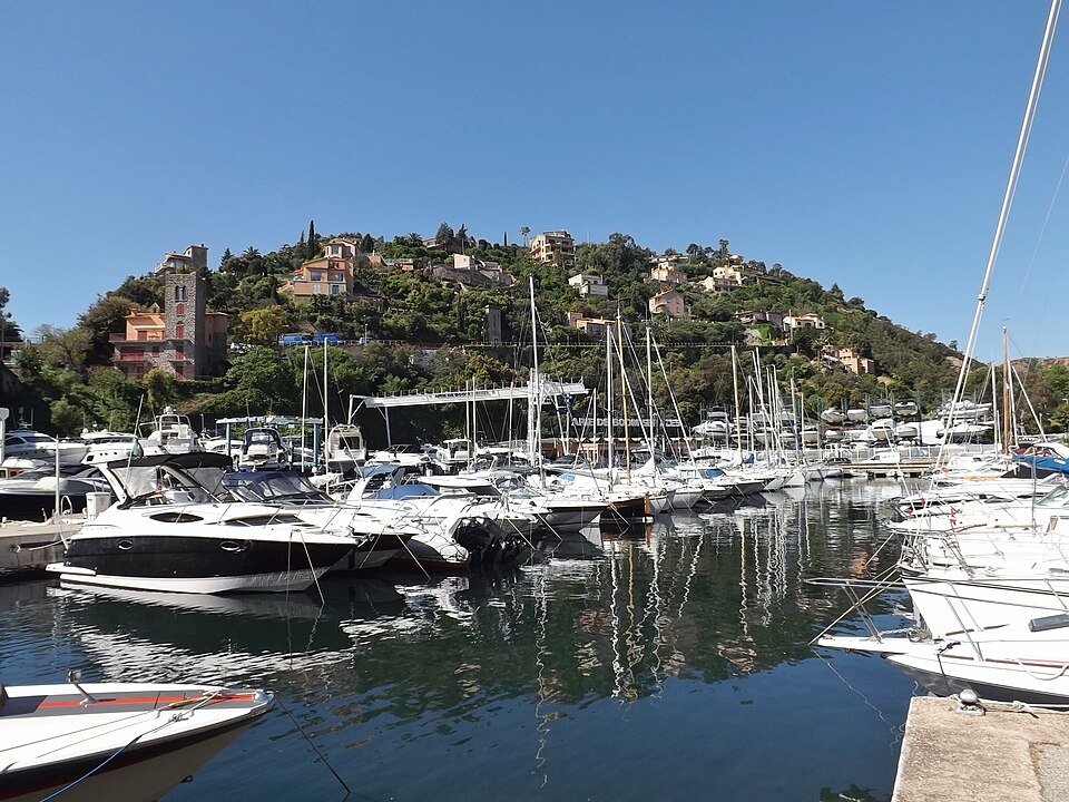 Mediterranean