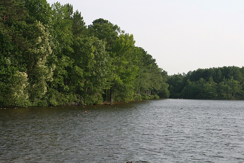 Lake Peachtree Headwater at Peachtree City, Georgia